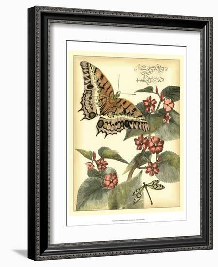 Whimsical Butterflies II-Vision Studio-Framed Art Print