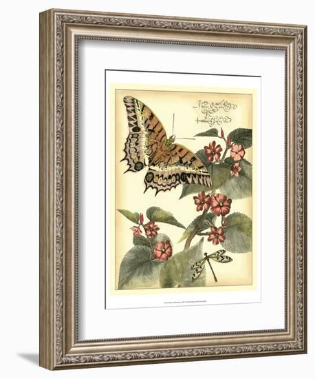 Whimsical Butterflies II-Vision Studio-Framed Art Print