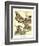 Whimsical Butterflies II-Vision Studio-Framed Art Print