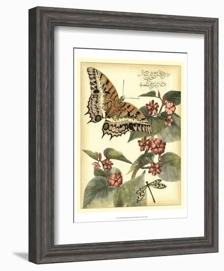 Whimsical Butterflies II-Vision Studio-Framed Art Print