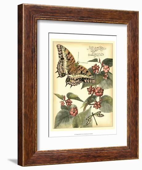 Whimsical Butterflies II-Vision Studio-Framed Art Print