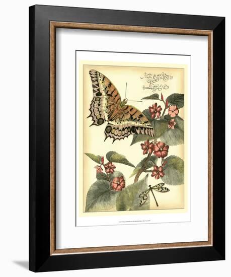 Whimsical Butterflies II-Vision Studio-Framed Art Print