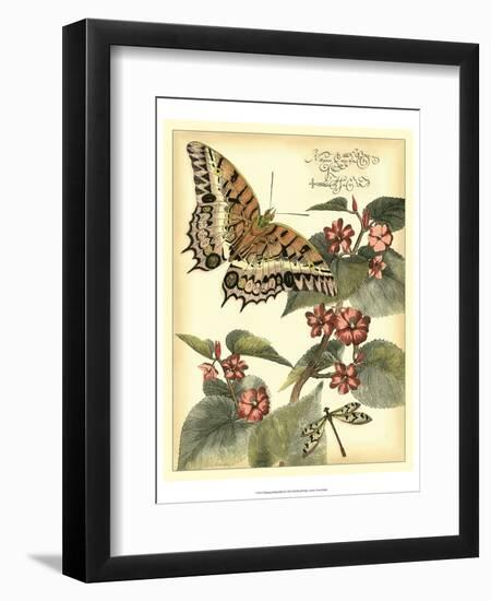 Whimsical Butterflies II-Vision Studio-Framed Art Print