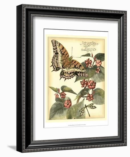 Whimsical Butterflies II-Vision Studio-Framed Art Print