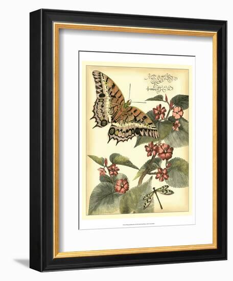 Whimsical Butterflies II-Vision Studio-Framed Art Print