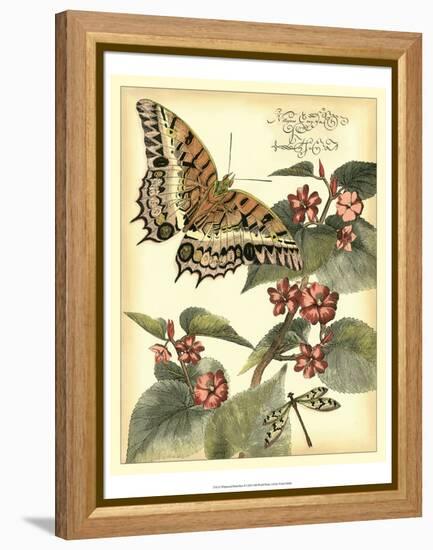 Whimsical Butterflies II-Vision Studio-Framed Stretched Canvas