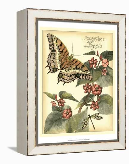 Whimsical Butterflies II-Vision Studio-Framed Stretched Canvas