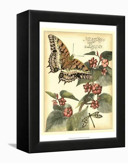 Whimsical Butterflies II-Vision Studio-Framed Stretched Canvas