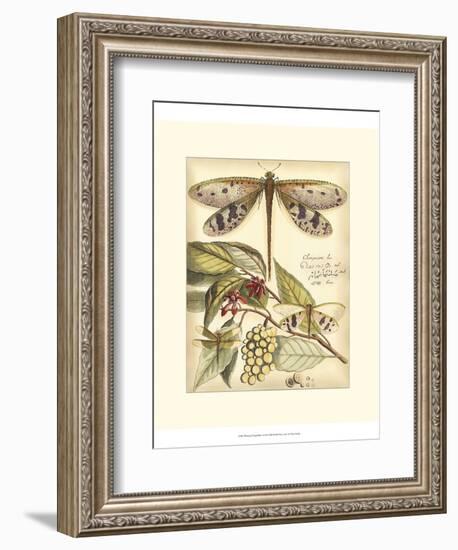 Whimsical Dragonflies I-Vision Studio-Framed Premium Giclee Print
