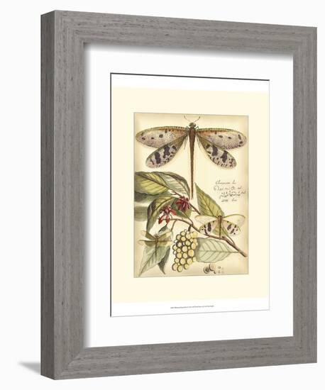 Whimsical Dragonflies I-Vision Studio-Framed Premium Giclee Print