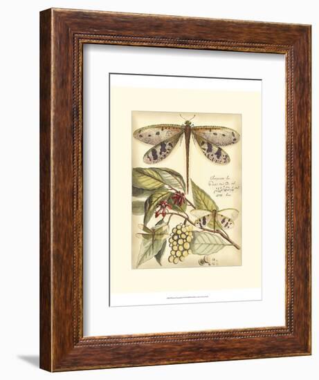 Whimsical Dragonflies I-Vision Studio-Framed Premium Giclee Print