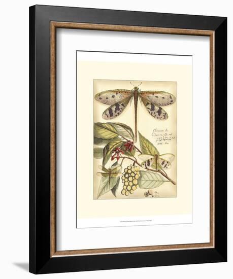 Whimsical Dragonflies I-Vision Studio-Framed Premium Giclee Print