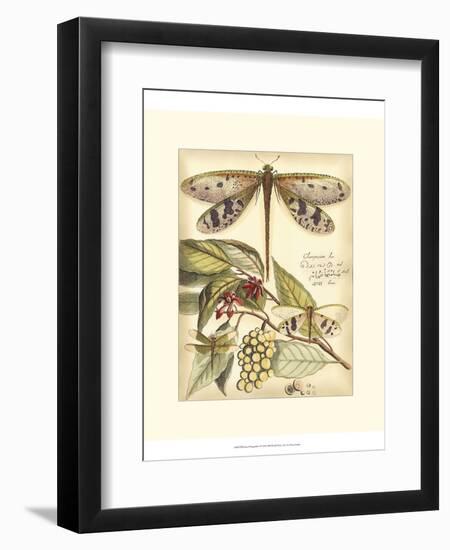 Whimsical Dragonflies I-Vision Studio-Framed Premium Giclee Print