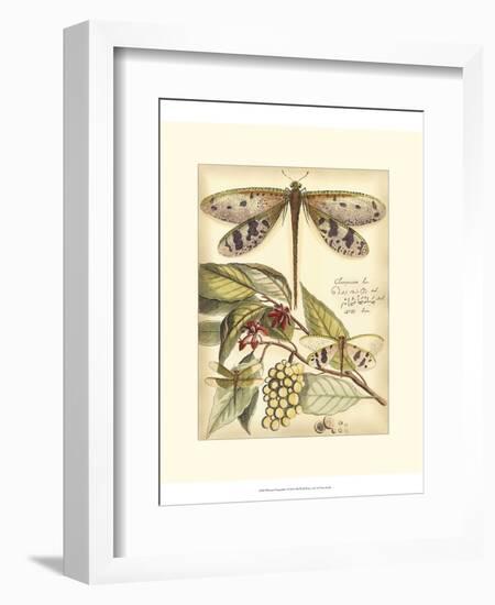 Whimsical Dragonflies I-Vision Studio-Framed Premium Giclee Print