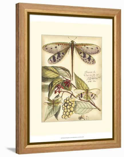 Whimsical Dragonflies I-Vision Studio-Framed Stretched Canvas