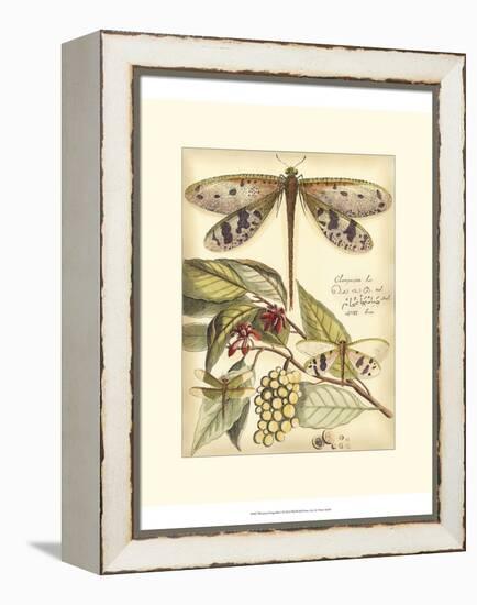 Whimsical Dragonflies I-Vision Studio-Framed Stretched Canvas