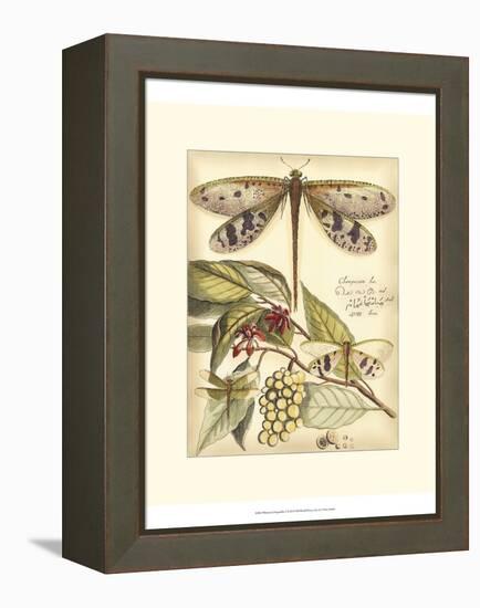 Whimsical Dragonflies I-Vision Studio-Framed Stretched Canvas