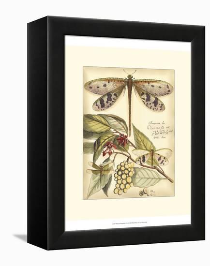 Whimsical Dragonflies I-Vision Studio-Framed Stretched Canvas