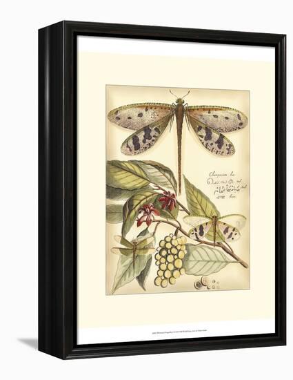 Whimsical Dragonflies I-Vision Studio-Framed Stretched Canvas