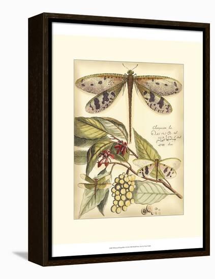 Whimsical Dragonflies I-Vision Studio-Framed Stretched Canvas