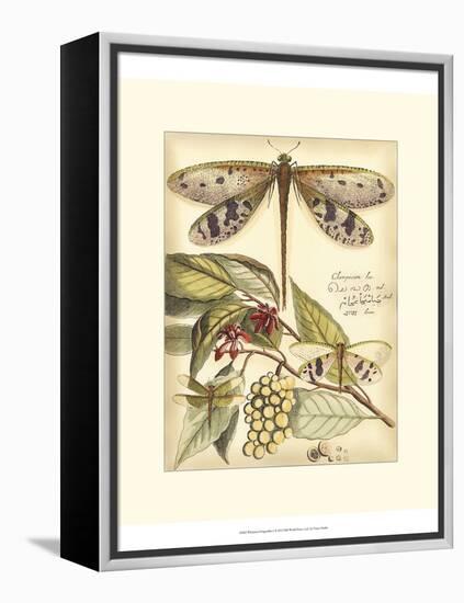 Whimsical Dragonflies I-Vision Studio-Framed Stretched Canvas