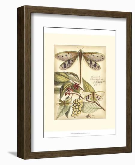 Whimsical Dragonflies I-Vision Studio-Framed Art Print