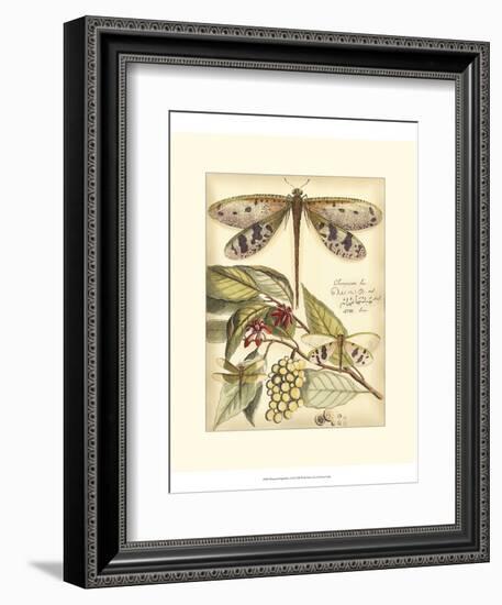 Whimsical Dragonflies I-Vision Studio-Framed Art Print