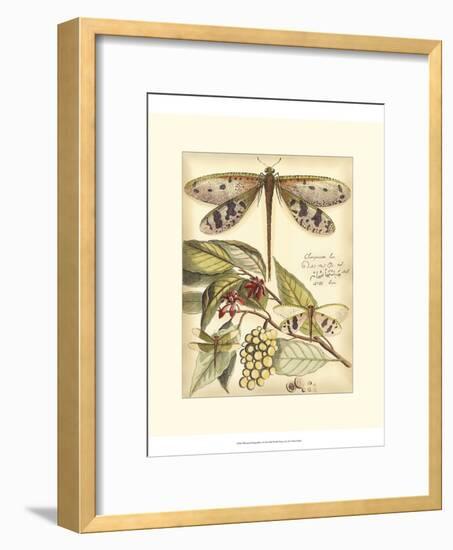 Whimsical Dragonflies I-Vision Studio-Framed Art Print