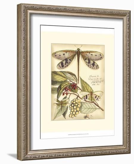 Whimsical Dragonflies I-Vision Studio-Framed Art Print