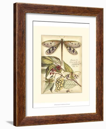 Whimsical Dragonflies I-Vision Studio-Framed Art Print