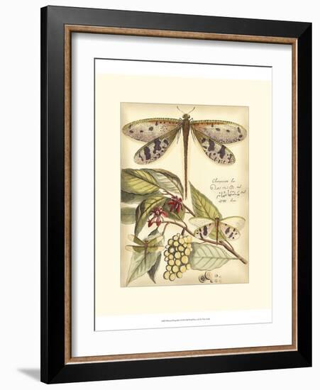 Whimsical Dragonflies I-Vision Studio-Framed Art Print