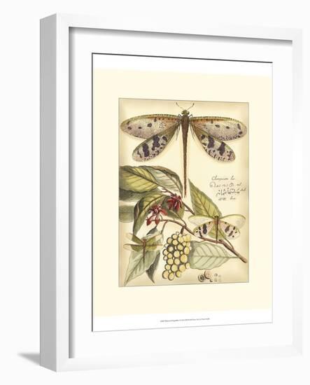 Whimsical Dragonflies I-Vision Studio-Framed Art Print