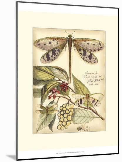 Whimsical Dragonflies I-Vision Studio-Mounted Art Print