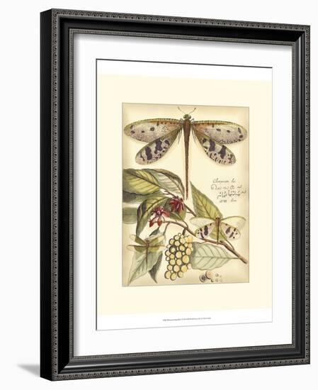 Whimsical Dragonflies I-Vision Studio-Framed Art Print