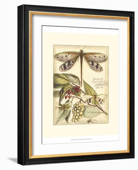 Whimsical Dragonflies I-Vision Studio-Framed Art Print