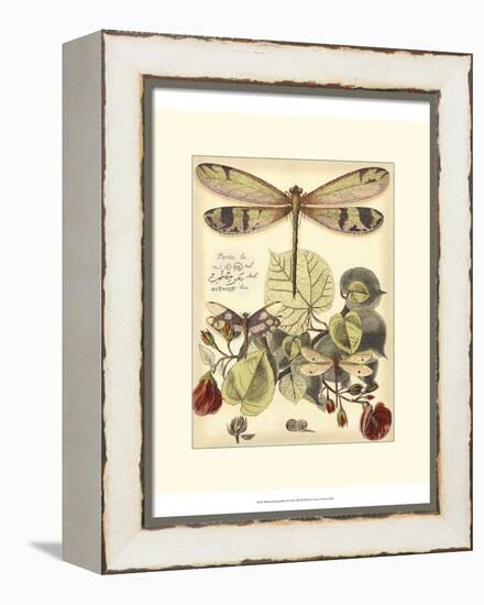 Whimsical Dragonflies II-Vision Studio-Framed Stretched Canvas