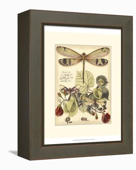 Whimsical Dragonflies II-Vision Studio-Framed Stretched Canvas