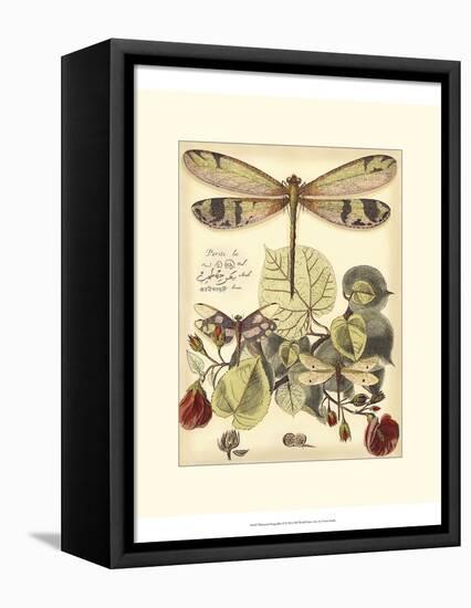 Whimsical Dragonflies II-Vision Studio-Framed Stretched Canvas