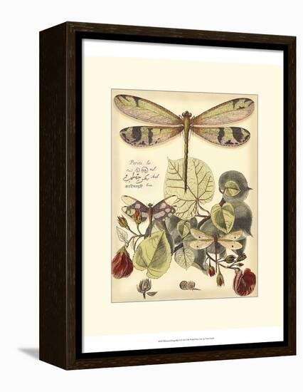 Whimsical Dragonflies II-Vision Studio-Framed Stretched Canvas