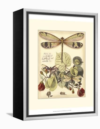 Whimsical Dragonflies II-Vision Studio-Framed Stretched Canvas