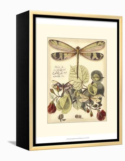 Whimsical Dragonflies II-Vision Studio-Framed Stretched Canvas