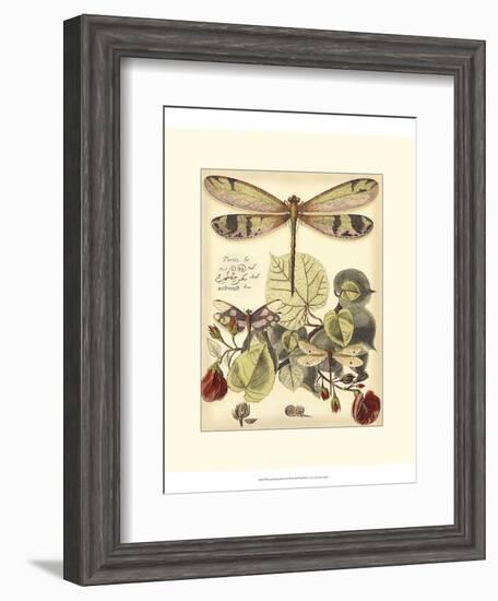 Whimsical Dragonflies II-Vision Studio-Framed Art Print