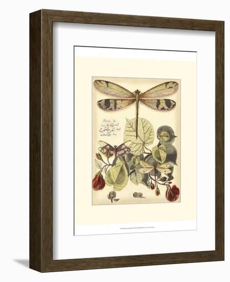 Whimsical Dragonflies II-Vision Studio-Framed Art Print