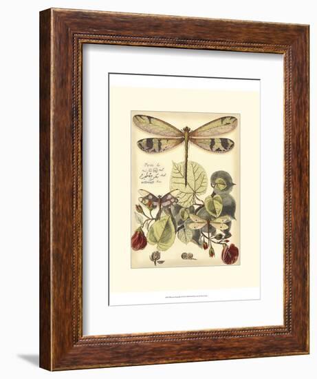 Whimsical Dragonflies II-Vision Studio-Framed Art Print