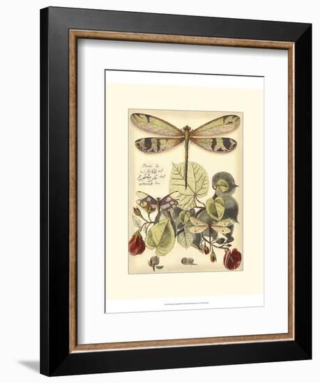 Whimsical Dragonflies II-Vision Studio-Framed Art Print