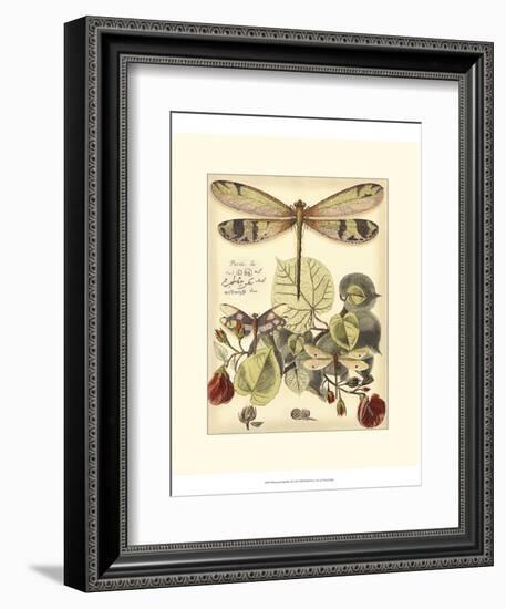 Whimsical Dragonflies II-Vision Studio-Framed Art Print