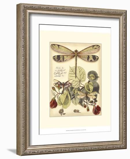 Whimsical Dragonflies II-Vision Studio-Framed Art Print