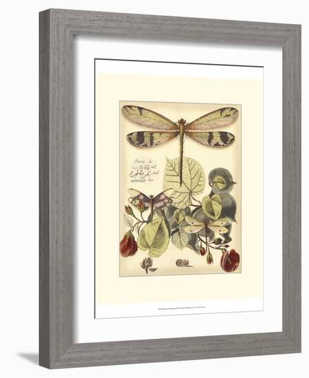 Whimsical Dragonflies II-Vision Studio-Framed Art Print