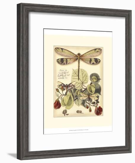 Whimsical Dragonflies II-Vision Studio-Framed Art Print