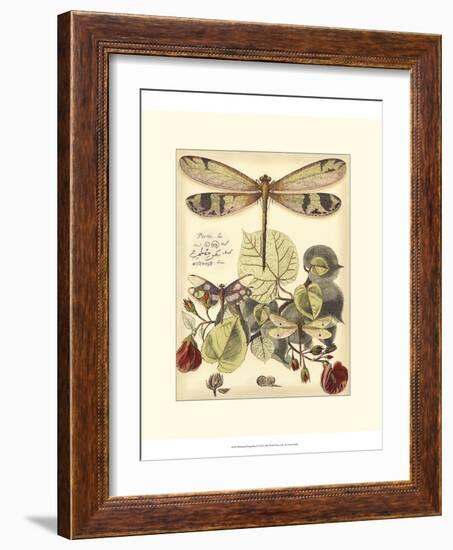 Whimsical Dragonflies II-Vision Studio-Framed Art Print